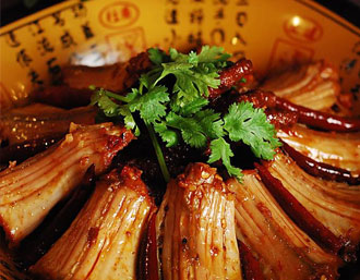 一年制制进修专业